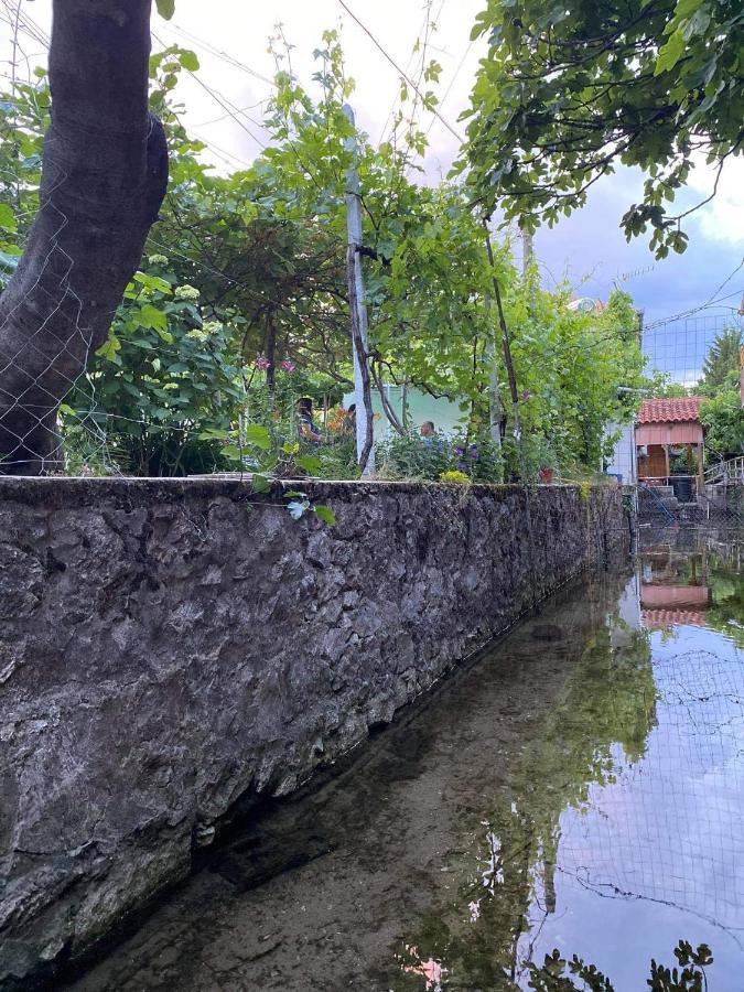 Bujtina Gjyshi Ilo Ξενοδοχείο Tushemisht Εξωτερικό φωτογραφία