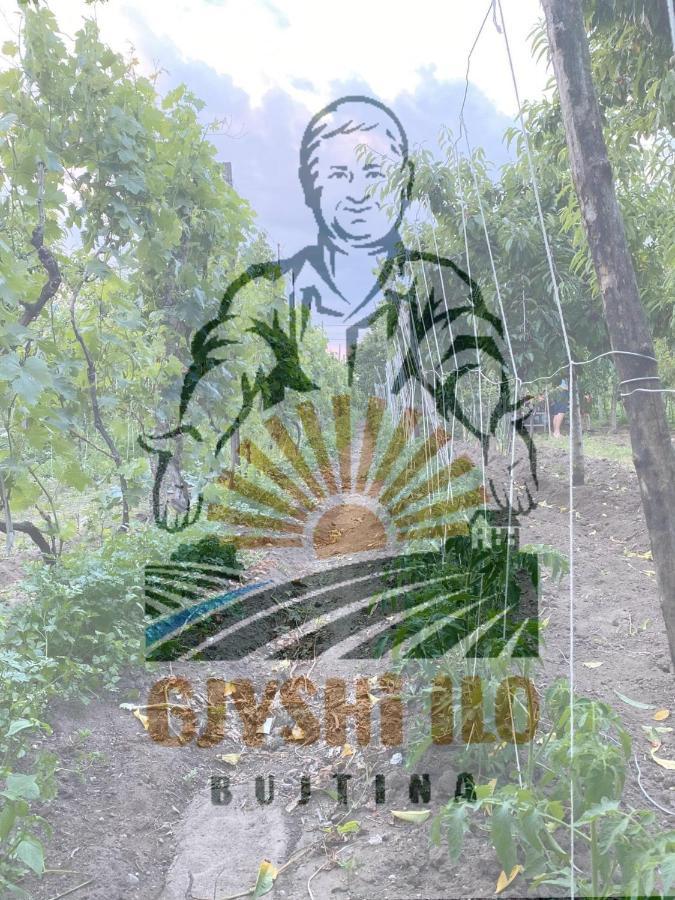 Bujtina Gjyshi Ilo Ξενοδοχείο Tushemisht Εξωτερικό φωτογραφία