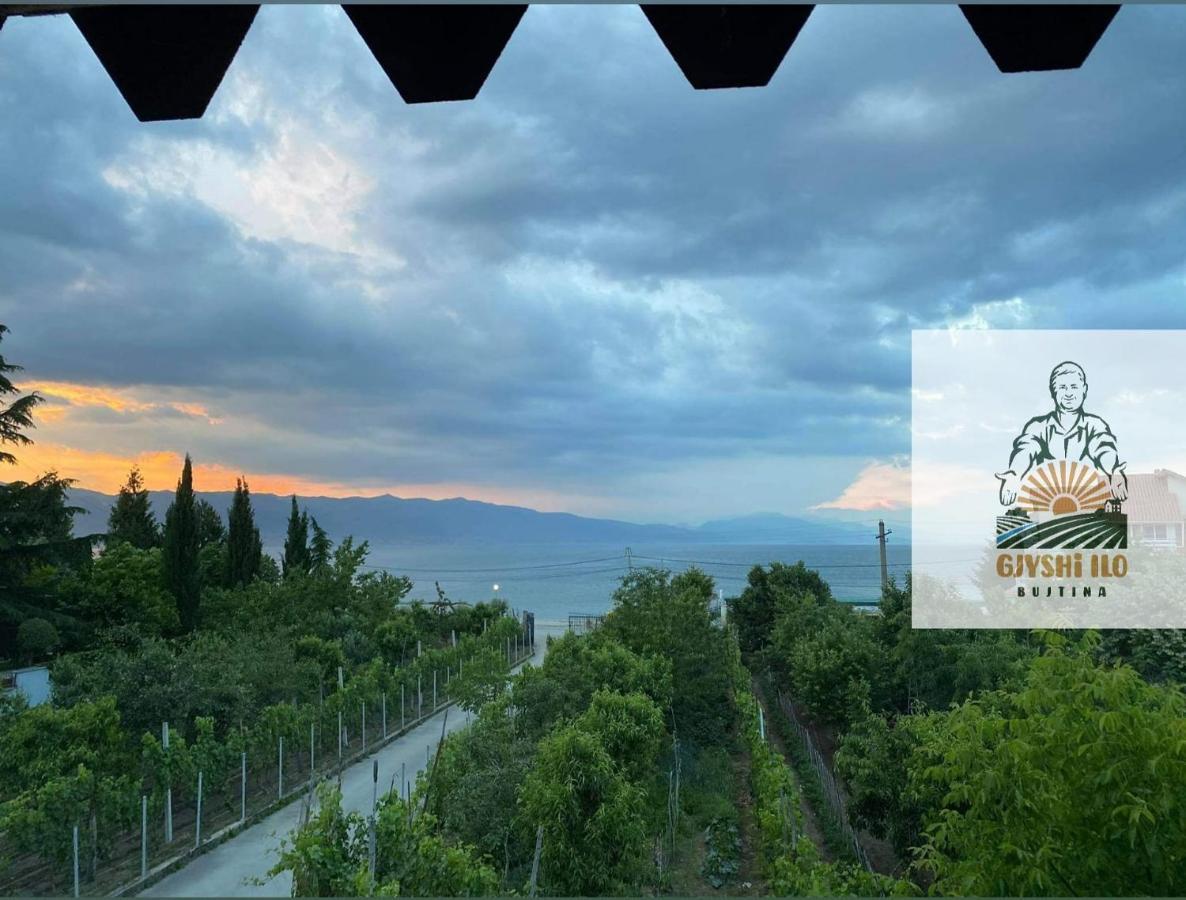 Bujtina Gjyshi Ilo Ξενοδοχείο Tushemisht Εξωτερικό φωτογραφία