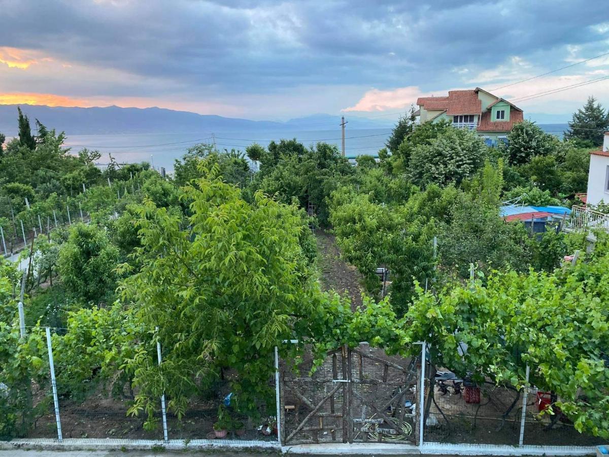 Bujtina Gjyshi Ilo Ξενοδοχείο Tushemisht Εξωτερικό φωτογραφία