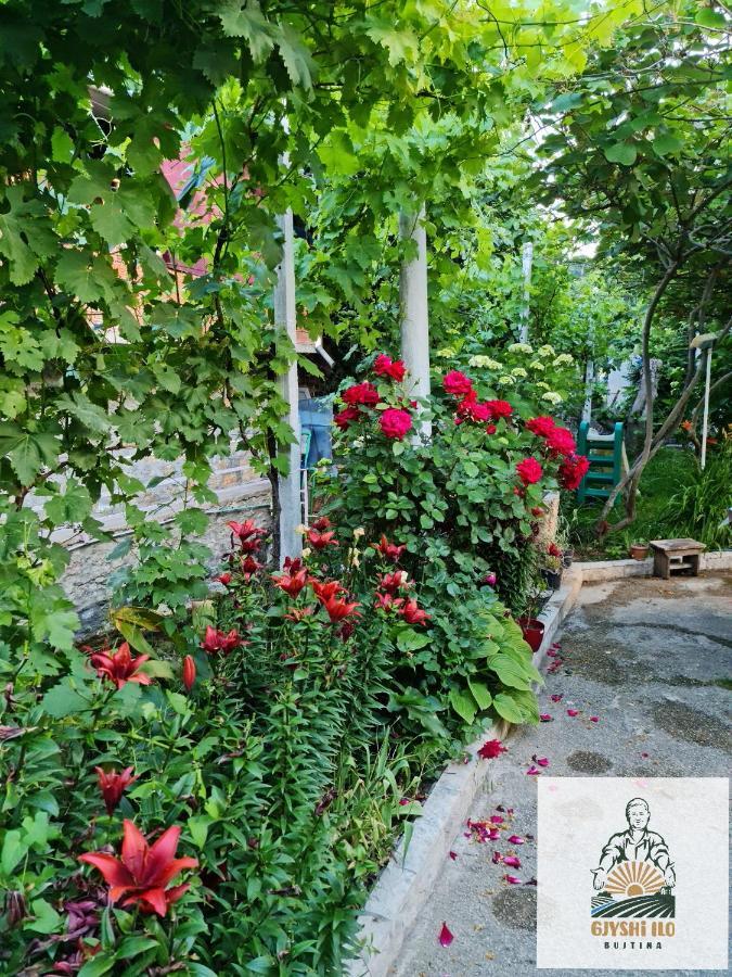 Bujtina Gjyshi Ilo Ξενοδοχείο Tushemisht Εξωτερικό φωτογραφία
